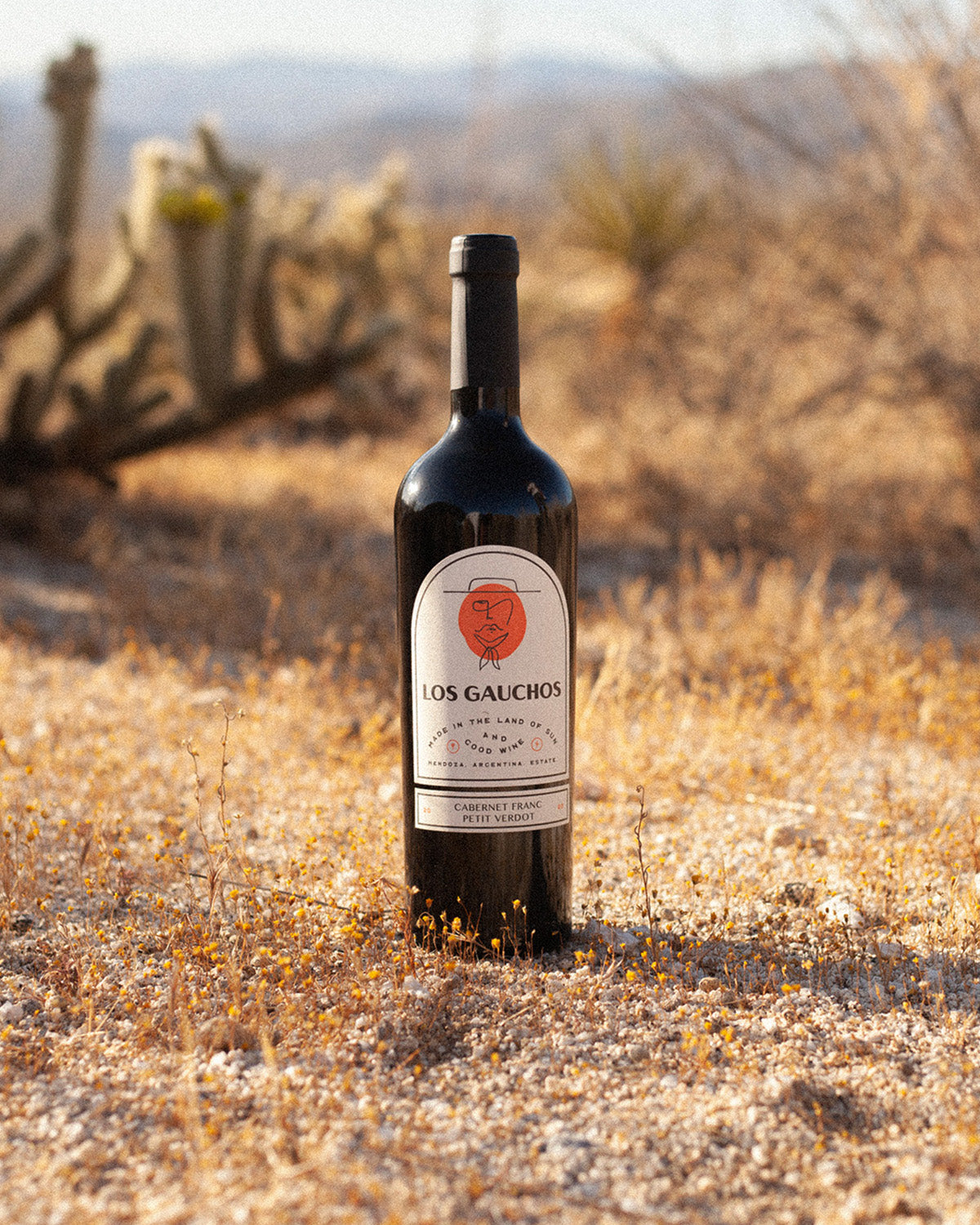Featured product image displaying Los Gaucho's Cabernet Franc - Petit Verdot