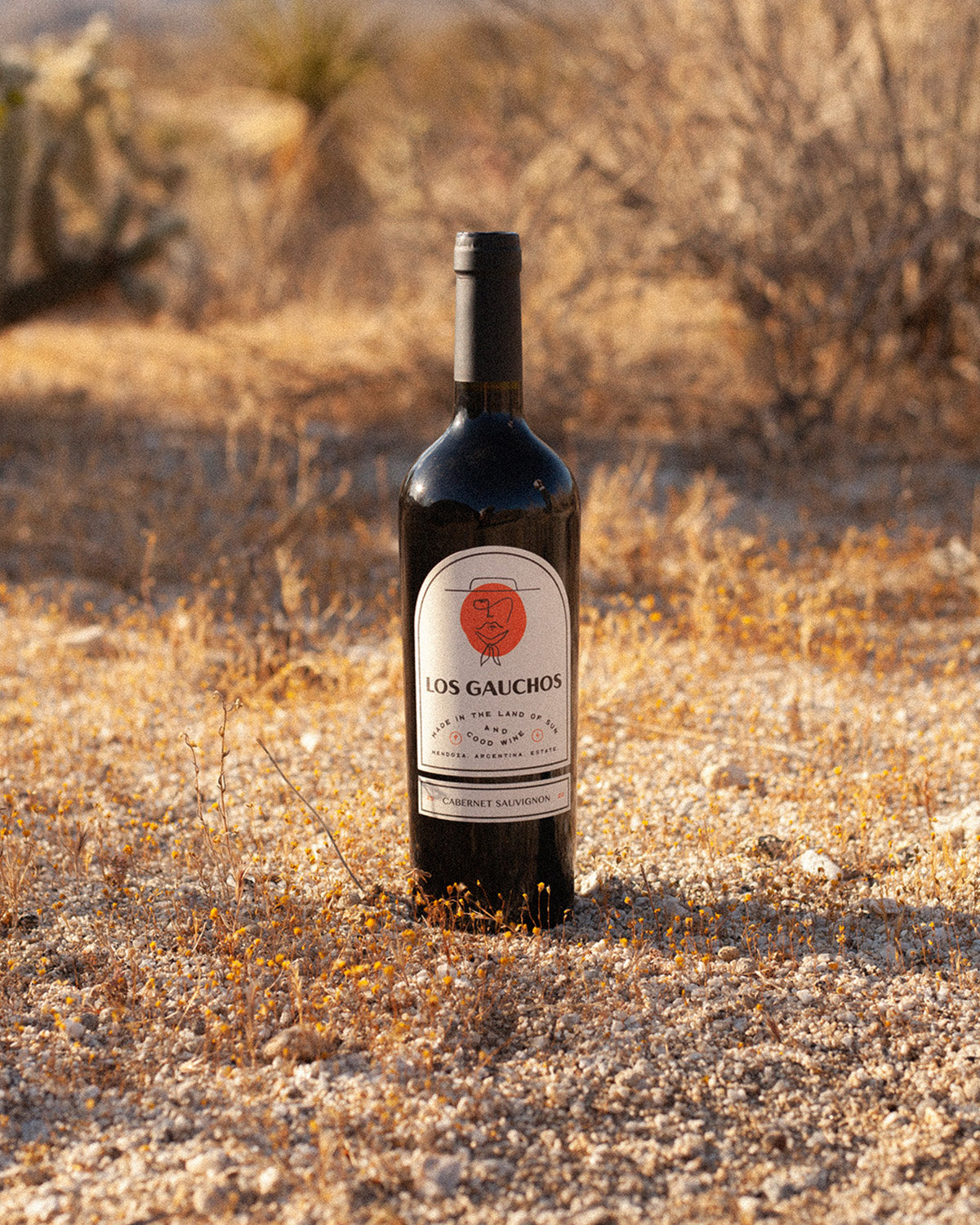 Featured product image displaying Los Gaucho's Cabernet Sauvignon