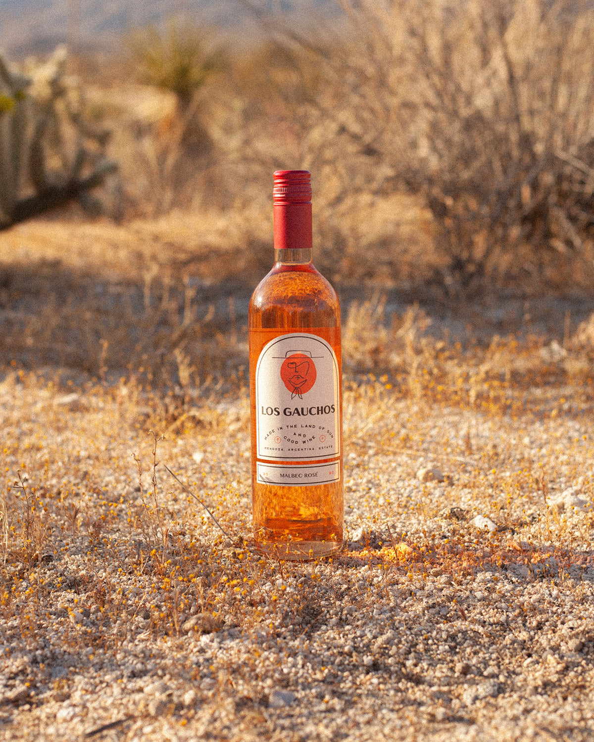 Featured product image displaying Los Gaucho's Malbec Rosé