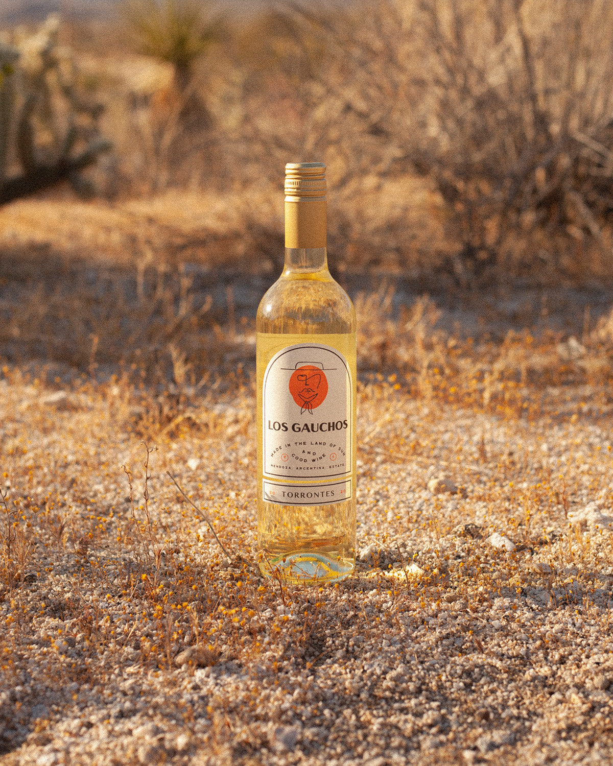Featured product image displaying Los Gaucho's Torrontes
